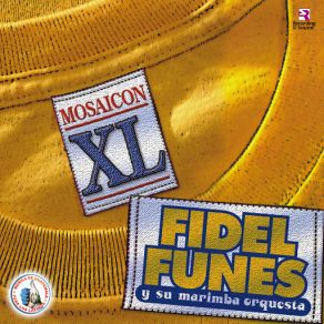 Download track Quiero Volverte A Ver Fidel Funes, Su Marimba Orquesta