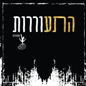 Download track Malka Ve Parash Hachronim