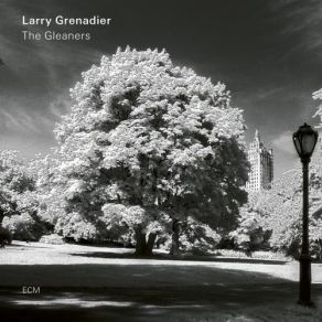 Download track Lovelair Larry Grenadier