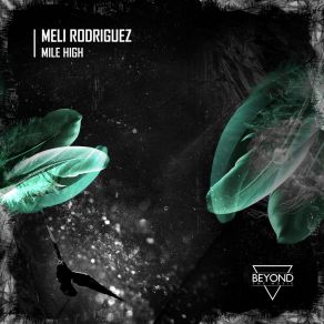 Download track Clark Street (Original Mix) Meli Rodriguez