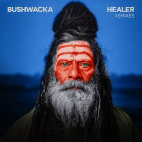 Download track Healer (M. A. N. D. Y. Remix) Bushwacka!