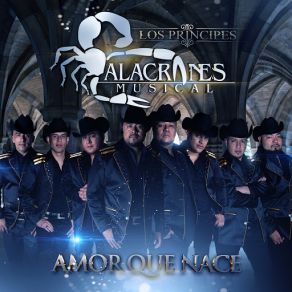 Download track Amor Que Nace Alacranes Musical