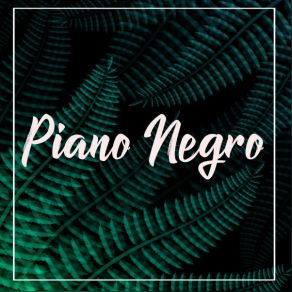 Download track La Pava Congona Negro