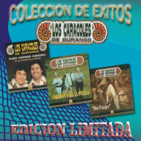 Download track Anastacio Pacheco Los Caracoles De Durango