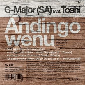 Download track Andingowenu (Original Mix) C - Major SA