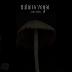 Download track Bufo (Original Mix) Ruimte Vogel