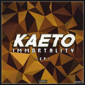 Download track Emergency Kaeto