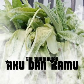 Download track Aku Dan Kamu Edy Kurniawan