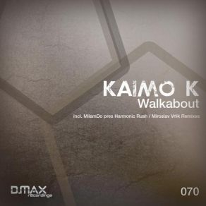 Download track Walkabout (Original Mix) Kaimo K