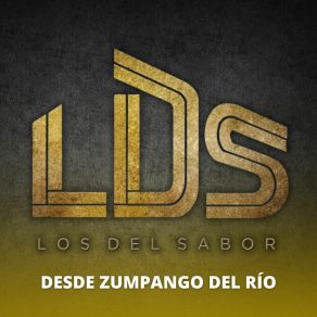 Download track Los Tlacololeros / Son De Victoria / Son De Mi Costa / El Burro Loco / Dame Los Del Sabor LDS