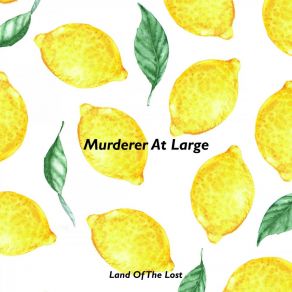 Download track Murderer At Large Land Of The Lost