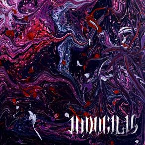 Download track Splintered Mind Indocilis