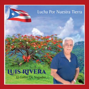 Download track A Ceiba Con Amor Luis Rivera El Gallito De Naguabo