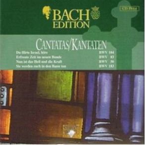 Download track Erfreute Zeit Im Neuen Bunde BWV 83 - IV Recitativo (Alto) Johann Sebastian Bach