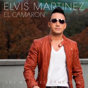 Download track Me Seguirás Buscando Elvis Martínez 