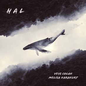 Download track Hal Melisa Karakurt