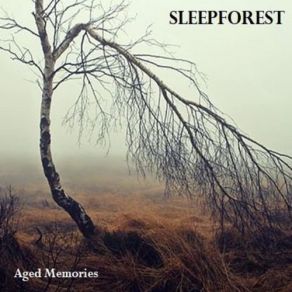 Download track Two Sides Of The Mirror Sleepforest