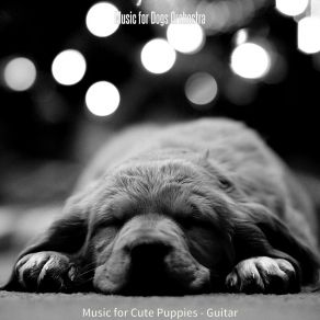 Download track Trio Jazz Soundtrack For Lonely Dogs Music For Dogs Orchestra