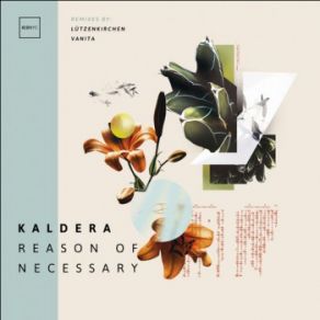 Download track Reason Of Necessary (Lutzenkirchen Dub Mix) Kaldera