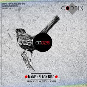 Download track Black Bird (Original Mix) MYNE