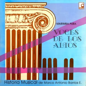 Download track Ilusiones De Una Madre Marimba Pura Voces De Los Altos