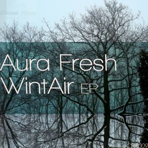 Download track Wintair (Elavult N Porlepte Remix) Aura Fresh