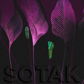 Download track Jungle Noise SOTAK (CH)