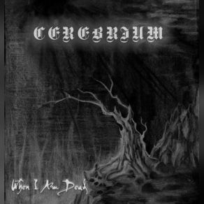 Download track In Tenebris Cerebrium