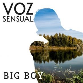 Download track Mis Ojos Lloran Por Ti Big BoyÁngel López