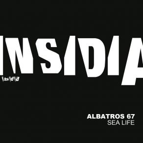 Download track Adder Albatros 67