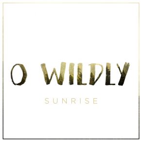 Download track Old Friend O Wildly