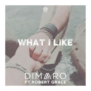 Download track What I Like (Extended Mix) Robert Grace