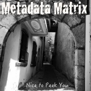 Download track Princess Wait Metadata Matrix