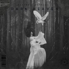 Download track Dark Heaven Dartro