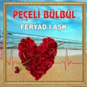 Download track Akan Sular Durulurmu Peçeli Bülbül