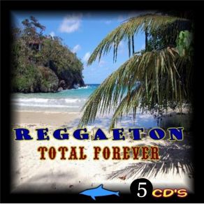 Download track Salsa Con Reggaeton K-Narias