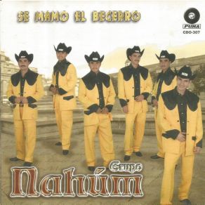 Download track Se Mamó El Becerro Grupo Nahum