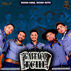 Download track Flor Do Amor Gaitaço Tche