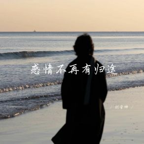 Download track 感情不再有归途 (释怀女生版) 刘学坤