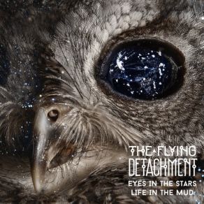 Download track Under The Tide The Flying Detachment