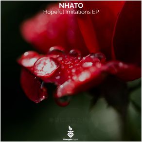 Download track Hopeful Imitations (Kelotti Remix) Nhato