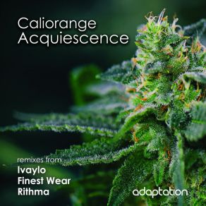 Download track Acquiescence (Original Mix) Caliorange