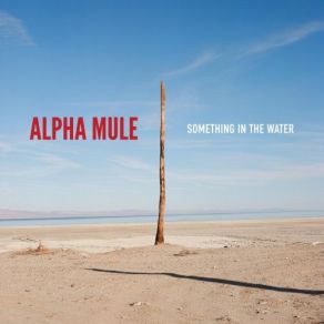 Download track Something In The Water (Rabbit Hole Variation) Alpha Mule