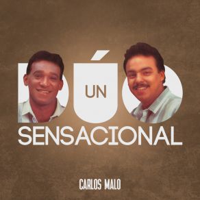 Download track Me Fallaste Carlos Malo