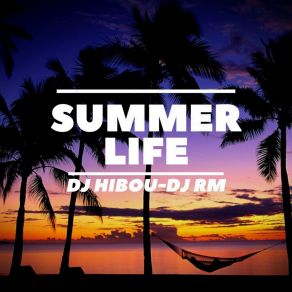 Download track Summer Life (Extended Mix) DJ HibouDJ RM