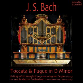 Download track Sonata No. 5 In C Major, BWV 529 - II. Largo Aasgard, ERLING