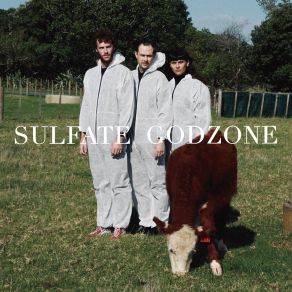 Download track Crossing Sulfate