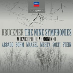 Download track Bruckner Symphony No. 3 In D Minor, WAB 103-Ed. Nowak-4. Finale Allegro Wiener Philarmoniker