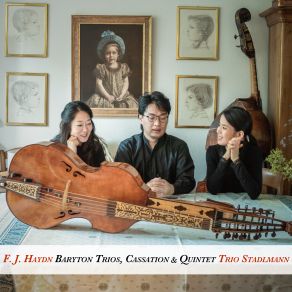 Download track Baryton Trio No. 114 In D Major, Hob. XI 114 II. Menuet Trio Stadlmann