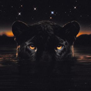 Download track Don't Sleep Victoria MonetThundercat